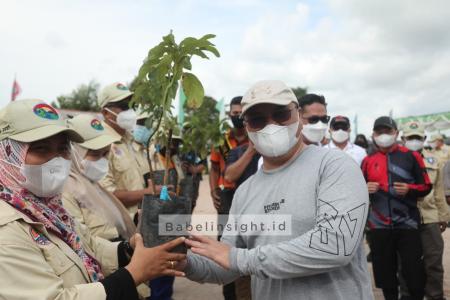 Dua Ribu Pohon Untuk 