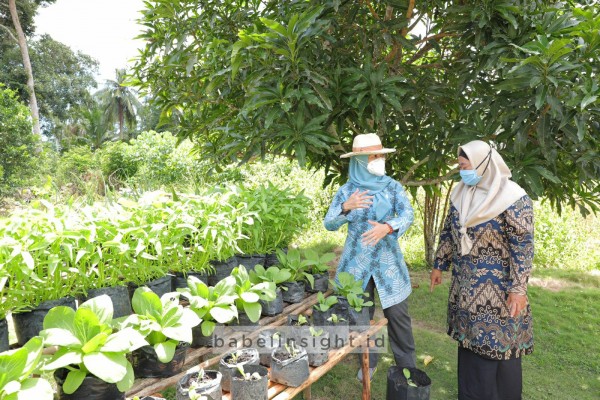 Sehatmu Dimulai Dari Halaman Rumahmu